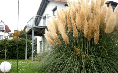 Verkauft: Modernes Einfamilienhaus am „neuen“ Rotenberg